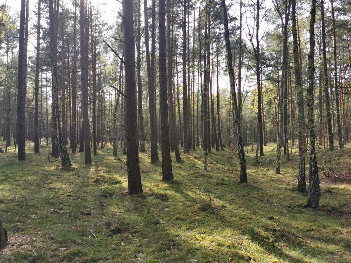 M&K Apartamenty - Morska Bryza, Sobieszewo- Wyspa Sobieszewwska 格但斯克 外观 照片
